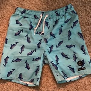 Tilly’s boys size medium swim shorts trunks fits an 8 or 10 boys best shark blue